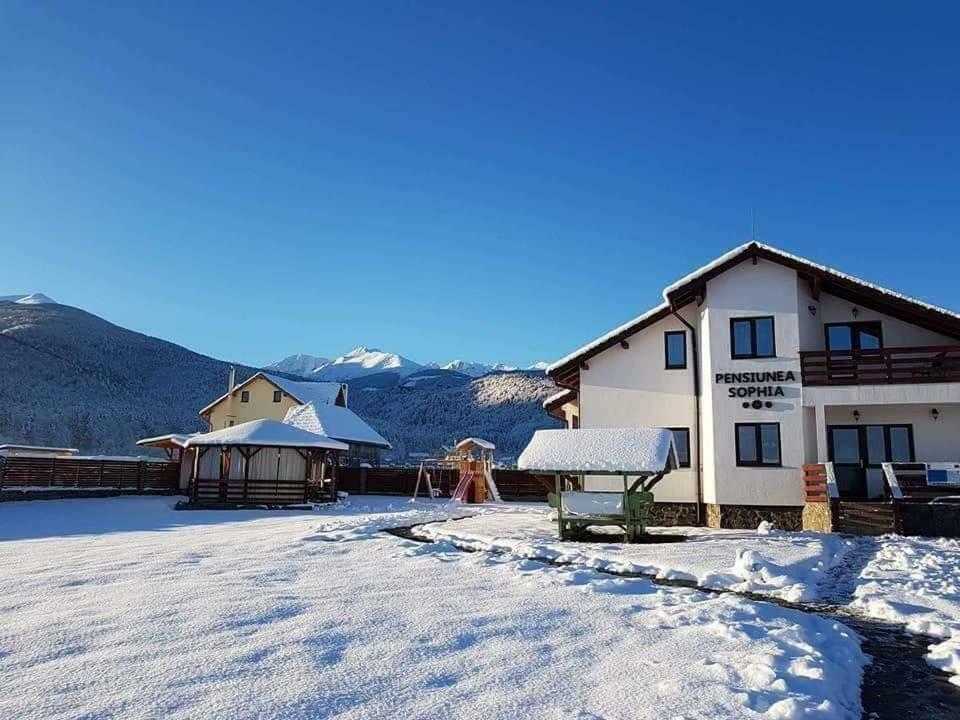 Pensiunea Sophia Statiunea Climaterica Sambata Exteriér fotografie