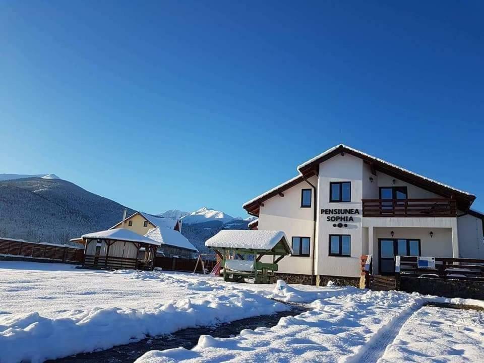 Pensiunea Sophia Statiunea Climaterica Sambata Exteriér fotografie